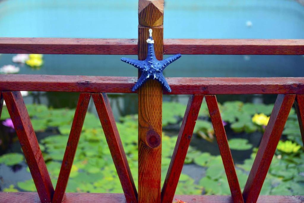 Blue Saipan Garden Hotel Eksteriør billede